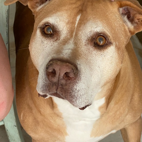 Hey, I’m Lianne! Thanks for stopping in! - Picture 16 of 16